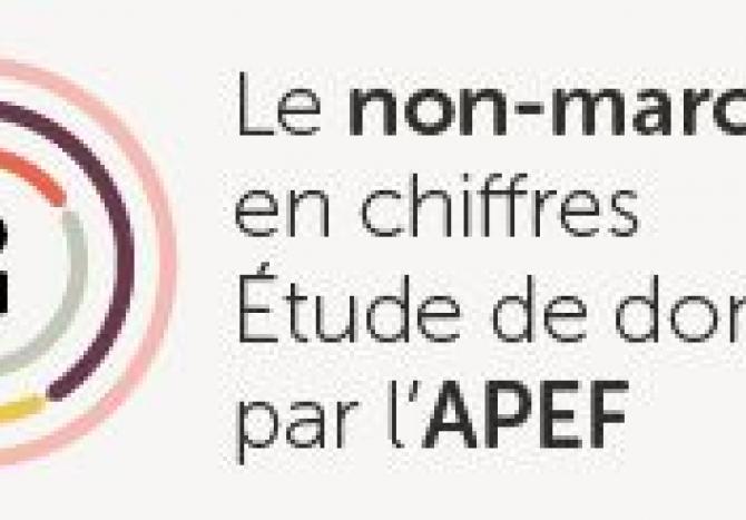 Le non marchand en chiffres